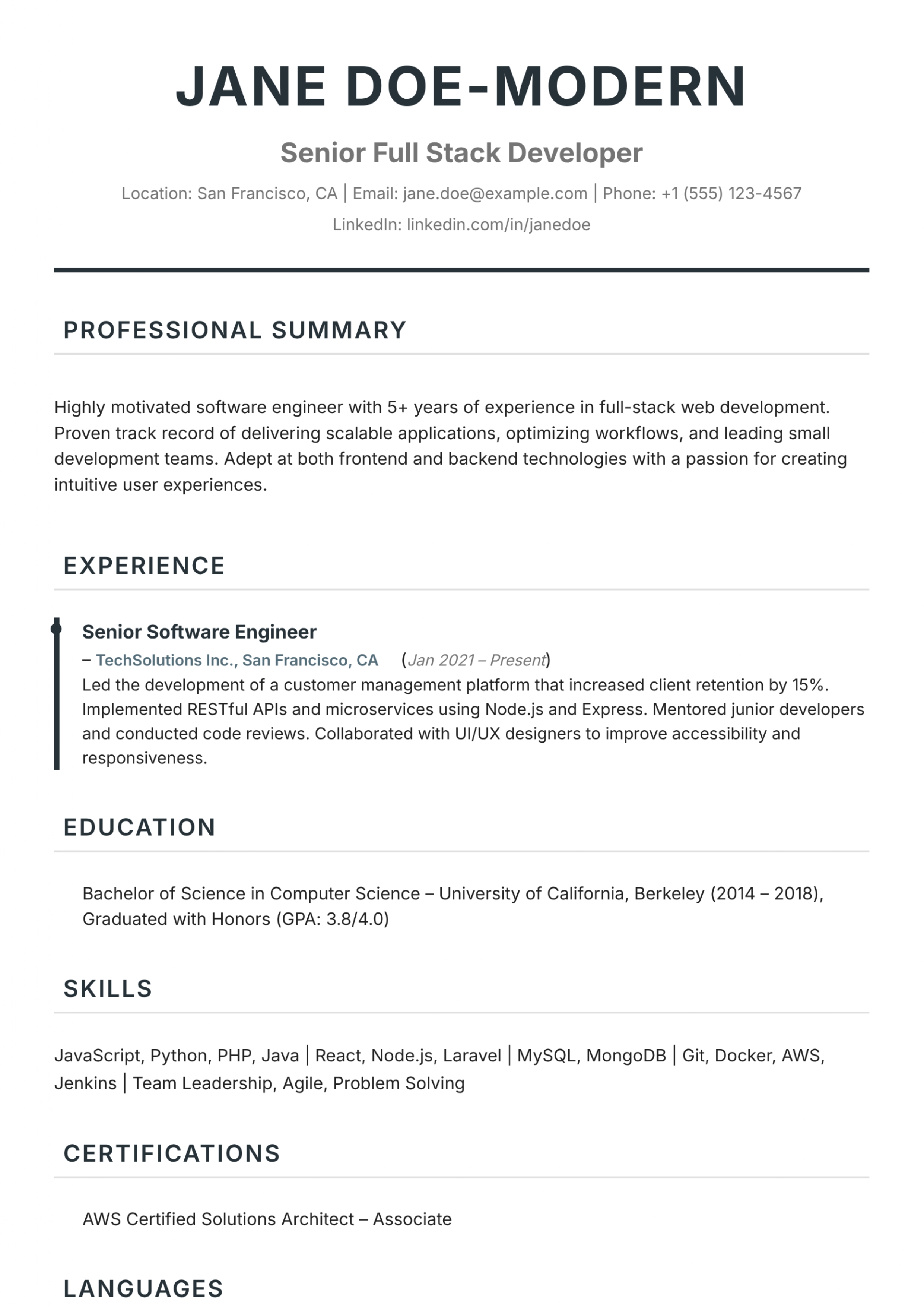 Modern Professional Resume Template
